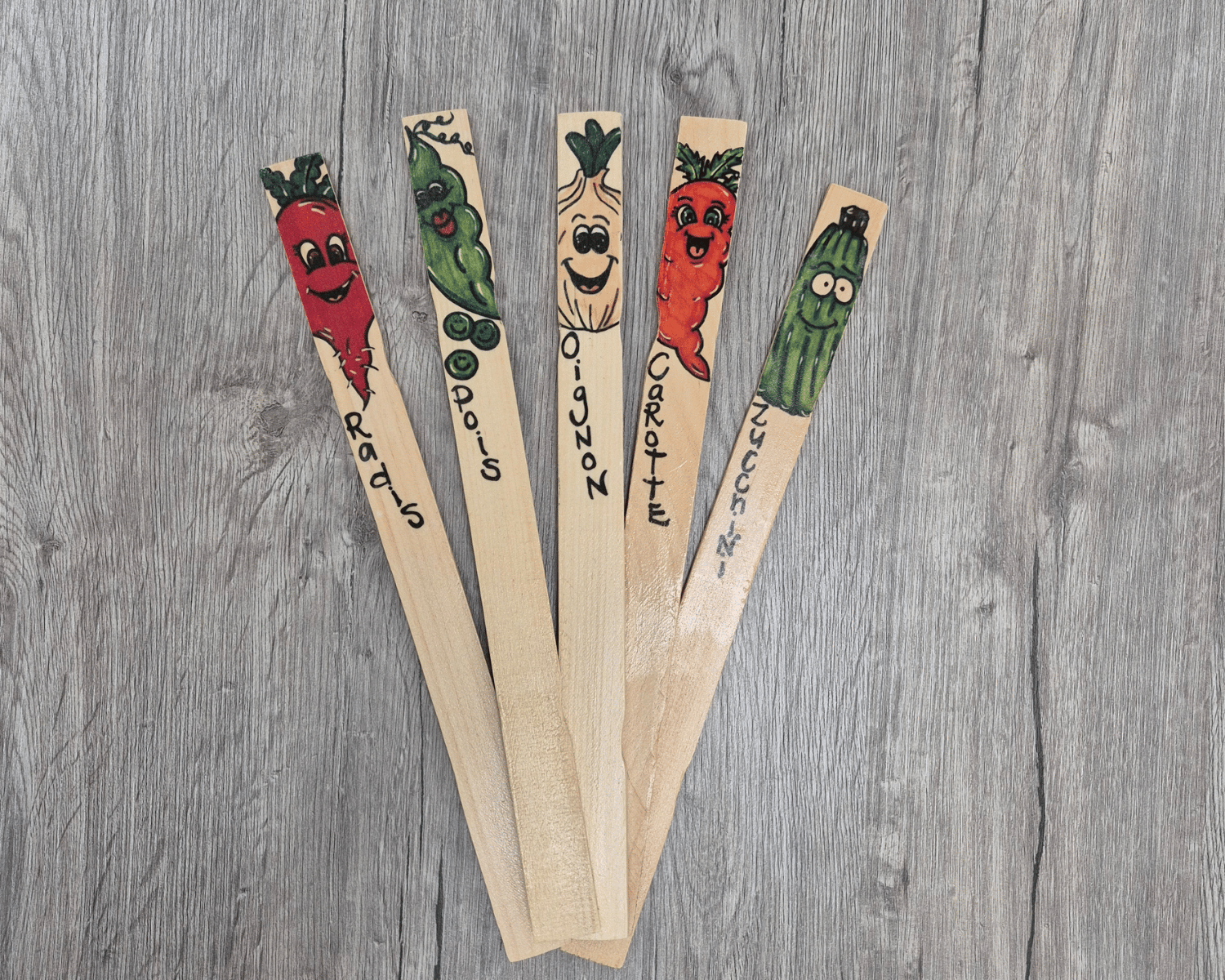 bâtons peints avec le nom et l'image d'un légume pour identification dans le potager